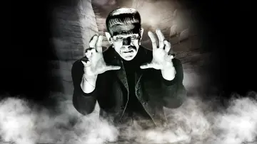 Backdrop to the movie "Frankenstein" #212437