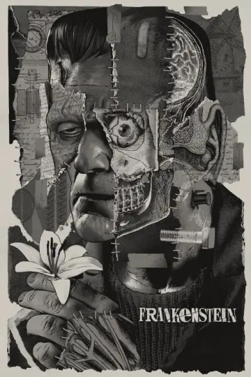 Poster to the movie "Frankenstein" #977978