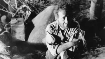 Backdrop to the movie "The Treasure of the Sierra Madre" #899935