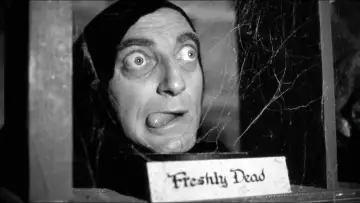 Backdrop to the movie "Young Frankenstein" #682305