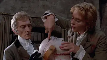 Backdrop to the movie "Frankenstein and the Monster from Hell" #1855743