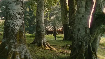 Backdrop to the movie "The Quiet Man" #949201