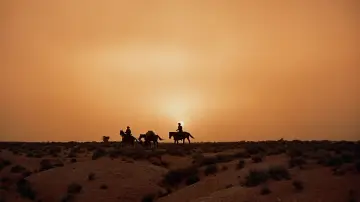 Backdrop to the movie "The Searchers" #713459