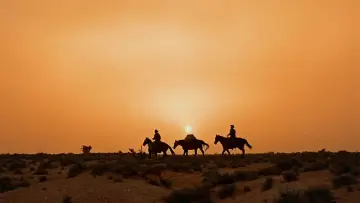 Backdrop to the movie "The Searchers" #713492