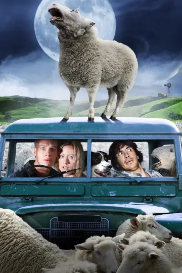 Black Sheep