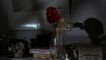 Backdrop to the movie "Frankie and Johnny" #1186478