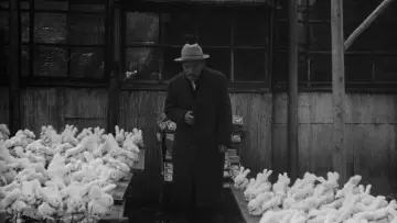 Backdrop to the movie "Ikiru" #749572