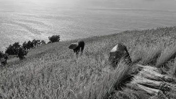 Backdrop to the movie "The Naked Island" #1635241
