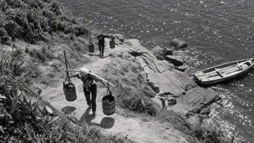 Backdrop to the movie "The Naked Island" #1635242