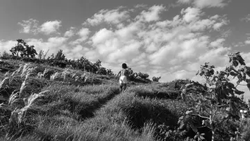 Backdrop to the movie "The Naked Island" #1635253