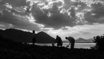 Backdrop to the movie "The Naked Island" #1635257