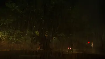 Backdrop to the movie "Monsoon Wedding" #1083743