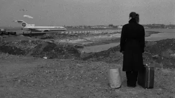 Backdrop to the movie "Stranger Than Paradise" #237117