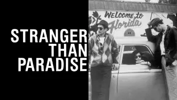 Backdrop to the movie "Stranger Than Paradise" #955653