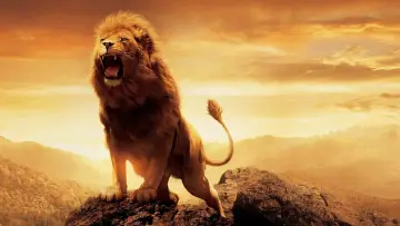 Backdrop to the movie "The Chronicles of Narnia: The Lion, the Witch and the Wardrobe" #166666