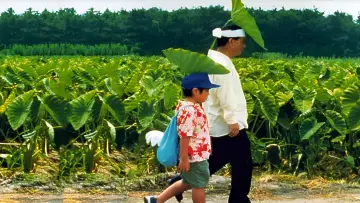 Backdrop to the movie "Kikujiro" #210899