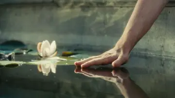 Backdrop to the movie "Atonement" #593092