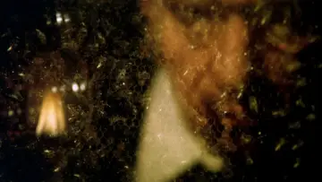 Backdrop to the movie "The Spirit of the Beehive" #1400560