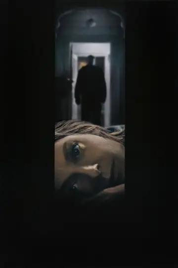 Poster to the movie "Panic Room" #641885
