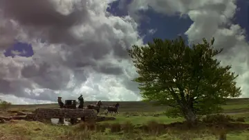 Backdrop to the movie "Sense and Sensibility" #802419