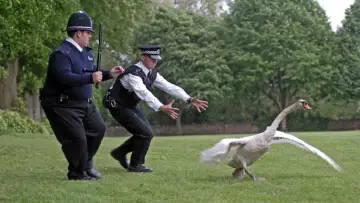 Backdrop to the movie "Hot Fuzz" #1627045