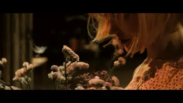 Backdrop to the movie "Dogville" #698805