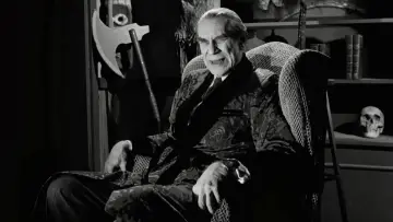 Backdrop to the movie "Ed Wood" #888299
