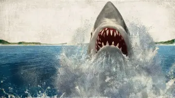 Backdrop to the movie "Jaws" #1197441