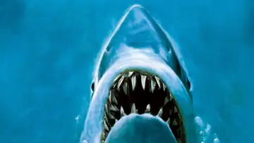 Backdrop to the movie "Jaws" #202945
