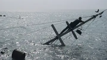 Backdrop to the movie "Jaws" #521021