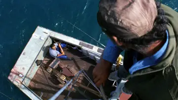 Backdrop to the movie "Jaws" #521052