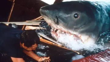 Backdrop to the movie "Jaws" #521063