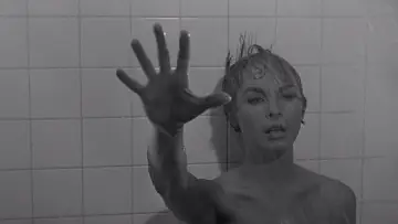 Backdrop to the movie "Psycho" #1183239
