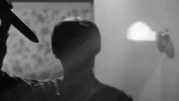 Backdrop to the movie "Psycho" #620105