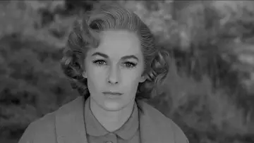 Backdrop to the movie "Psycho" #798828