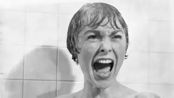 Backdrop to the movie "Psycho" #954410