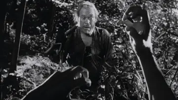 Backdrop to the movie "Rashomon" #701968
