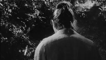 Backdrop to the movie "Rashomon" #701993