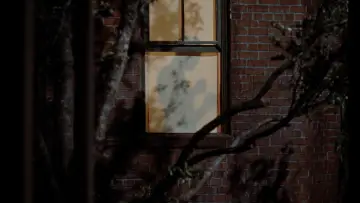 Backdrop to the movie "Rear Window" #1216179