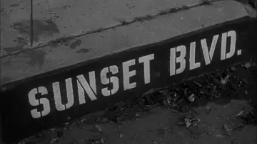 Backdrop to the movie "Sunset Boulevard" #669956