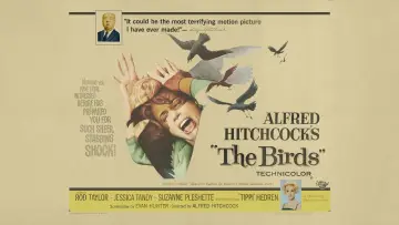 Backdrop to the movie "The Birds" #677216