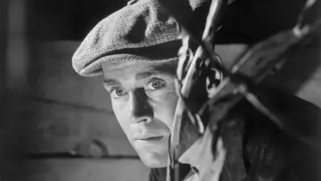 Backdrop to the movie "The Grapes of Wrath" #753445