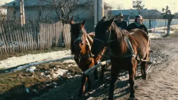 Backdrop to the movie "The Crazy Stranger" #1912602