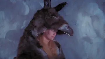 Backdrop to the movie "Donkey Skin" #812075