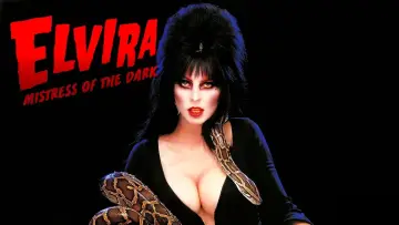 Backdrop to the movie "Elvira: Mistress of the Dark" #129946