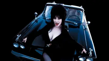 Backdrop to the movie "Elvira: Mistress of the Dark" #278250