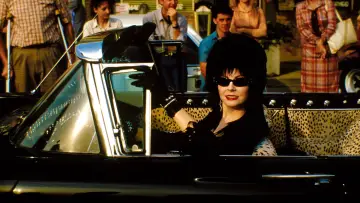 Backdrop to the movie "Elvira: Mistress of the Dark" #278257