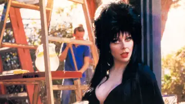 Backdrop to the movie "Elvira: Mistress of the Dark" #278258