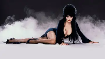 Backdrop to the movie "Elvira: Mistress of the Dark" #278259