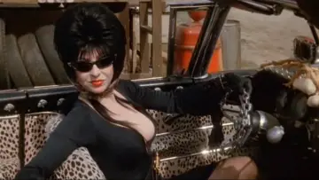 Backdrop to the movie "Elvira: Mistress of the Dark" #278267